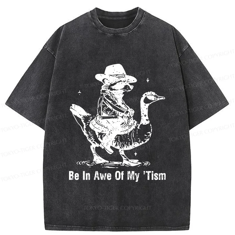 Tokyo-Tiger Raccoon Riding A Goose Washed T-Shirt