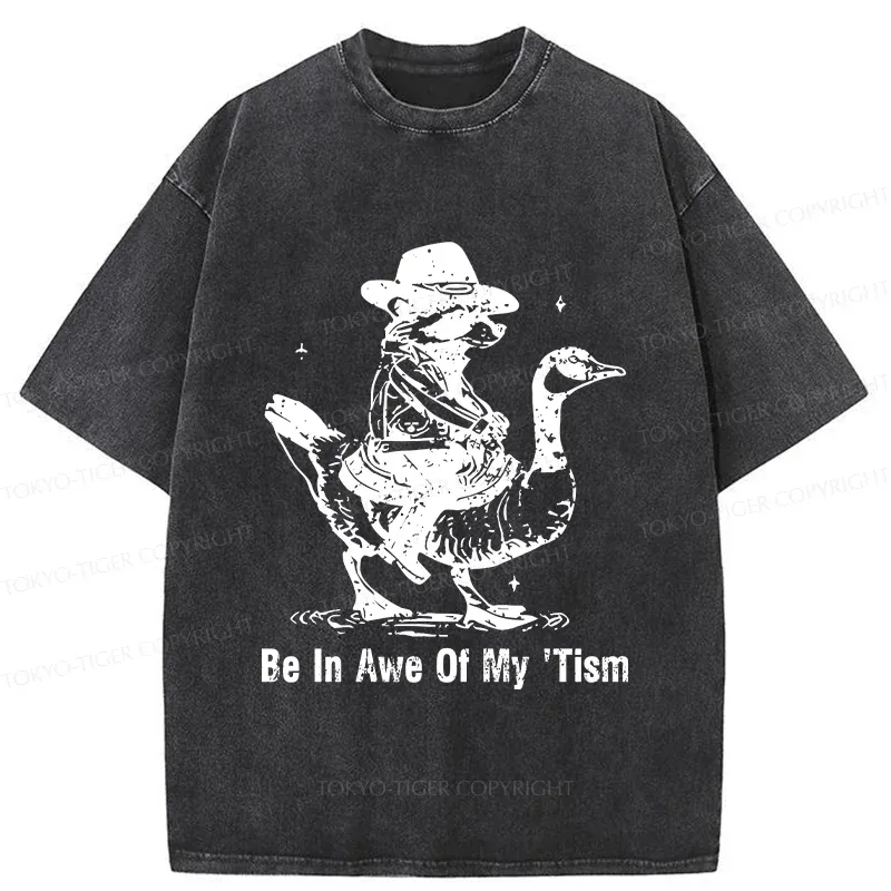 Tokyo-Tiger Raccoon Riding A Goose Washed T-Shirt
