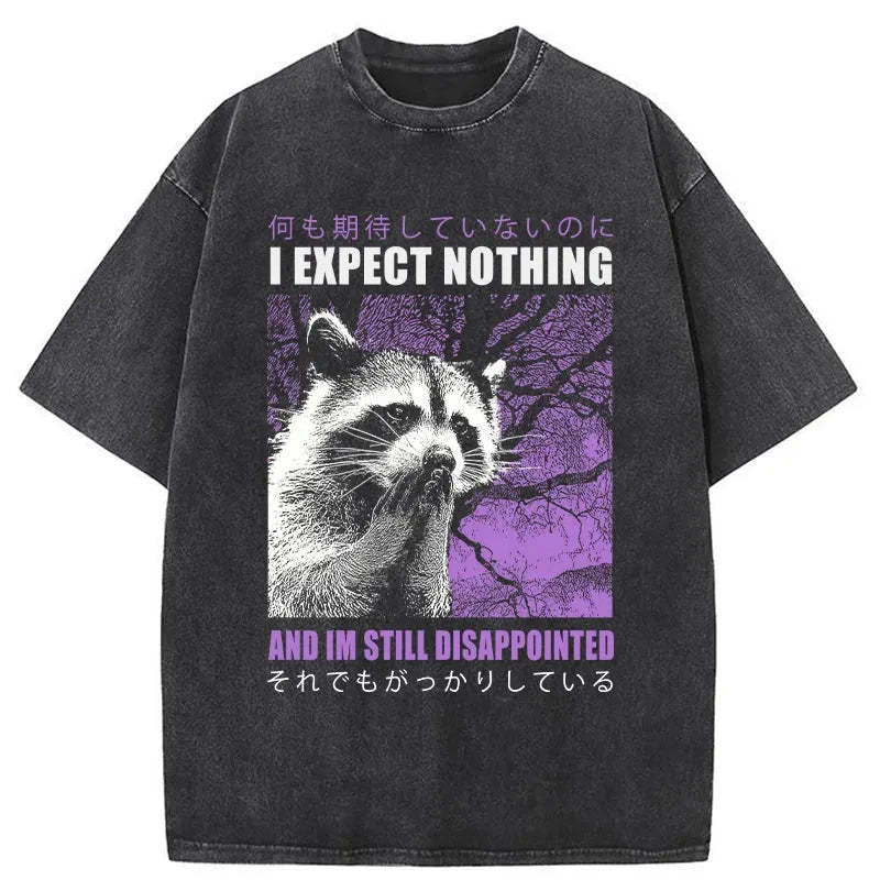 Tokyo-Tiger Disappointed Raccoon Japanese Washed T-Shirt