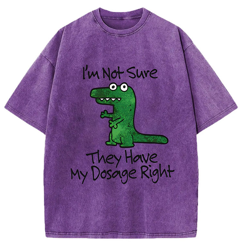 Tokyo-Tiger Dinosaur Meme Sarcastic Ironic Washed T-Shirt