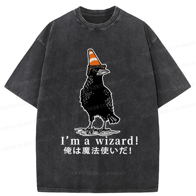 Tokyo-Tiger Magic Crow Washed T-Shirt