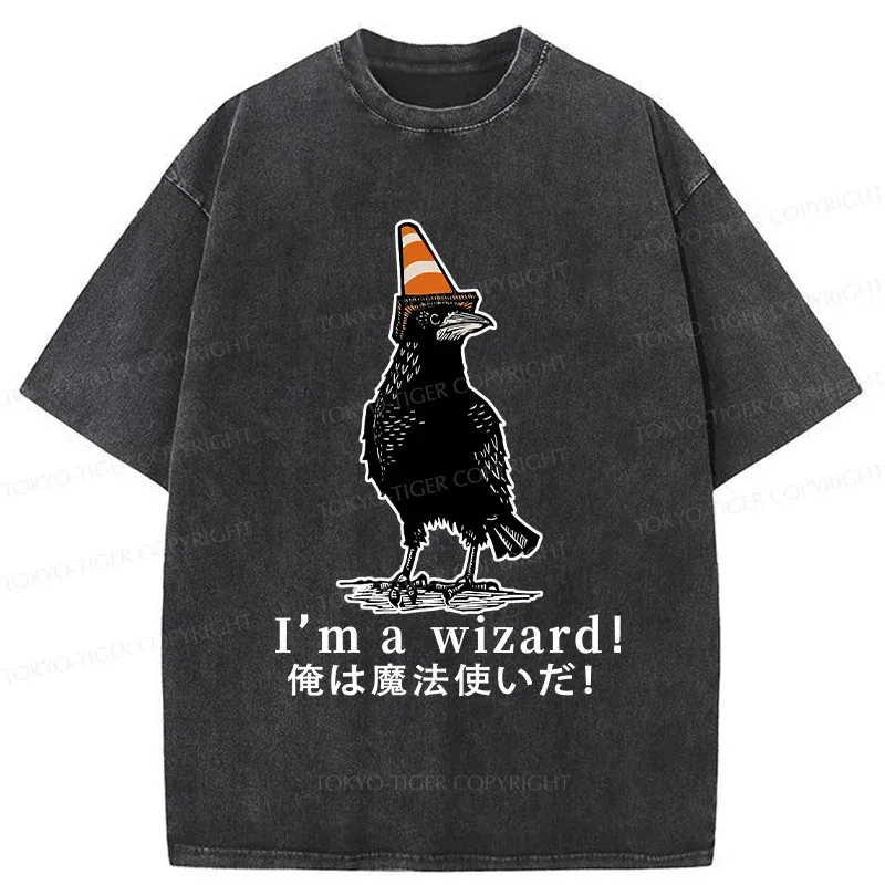 Tokyo-Tiger Magic Crow Washed T-Shirt