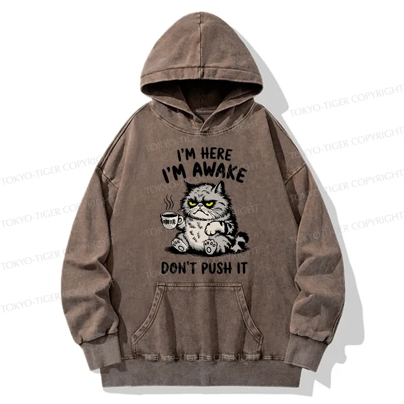 Tokyo-Tiger Tired Cat Washed Hoodie