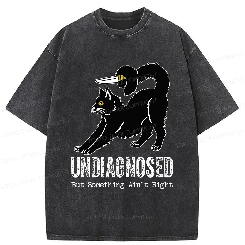 Tokyo-Tiger Cat With Knife Washed T-Shirt