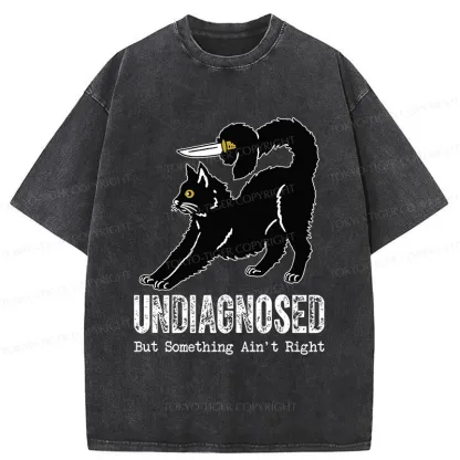 Tokyo-Tiger Cat With Knife Washed T-Shirt