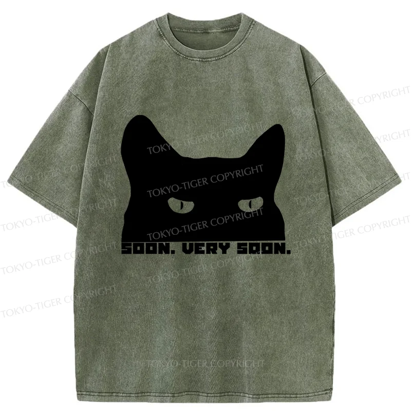 Tokyo-Tiger Cat Watching From Behind Washed T-Shirt