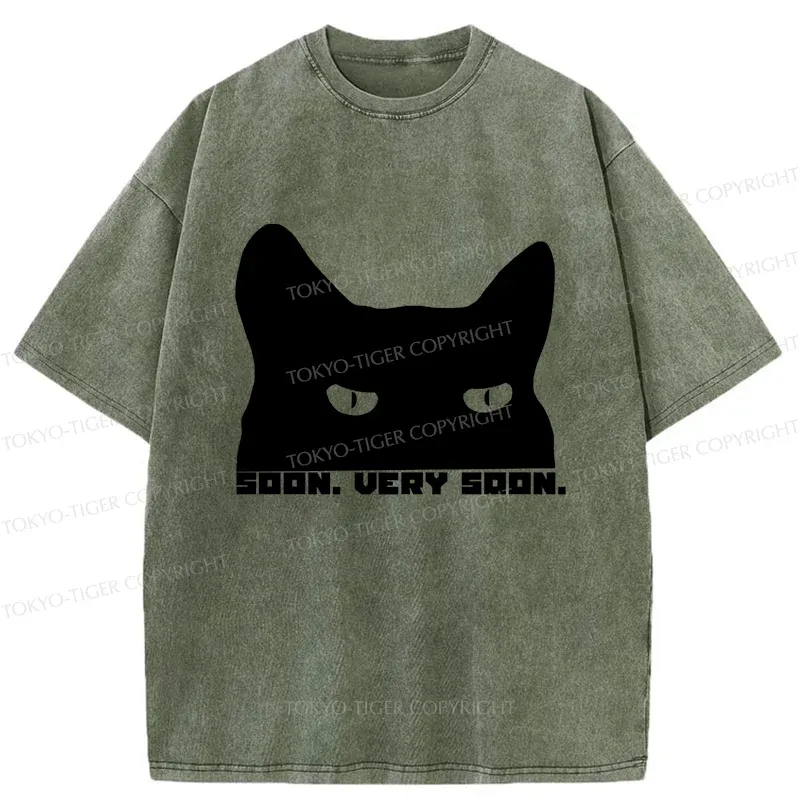 Tokyo-Tiger Cat Watching From Behind Washed T-Shirt