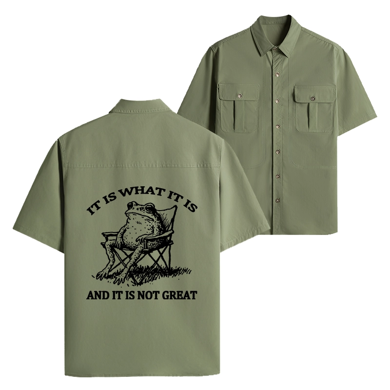 Tokyo-Tiger Resting Frog Funny Work Shirt