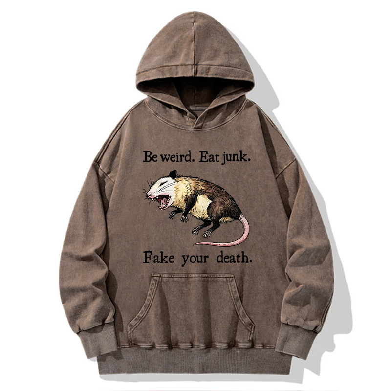 Tokyo-Tiger Focused Samurai Raccoon Washed Hoodie