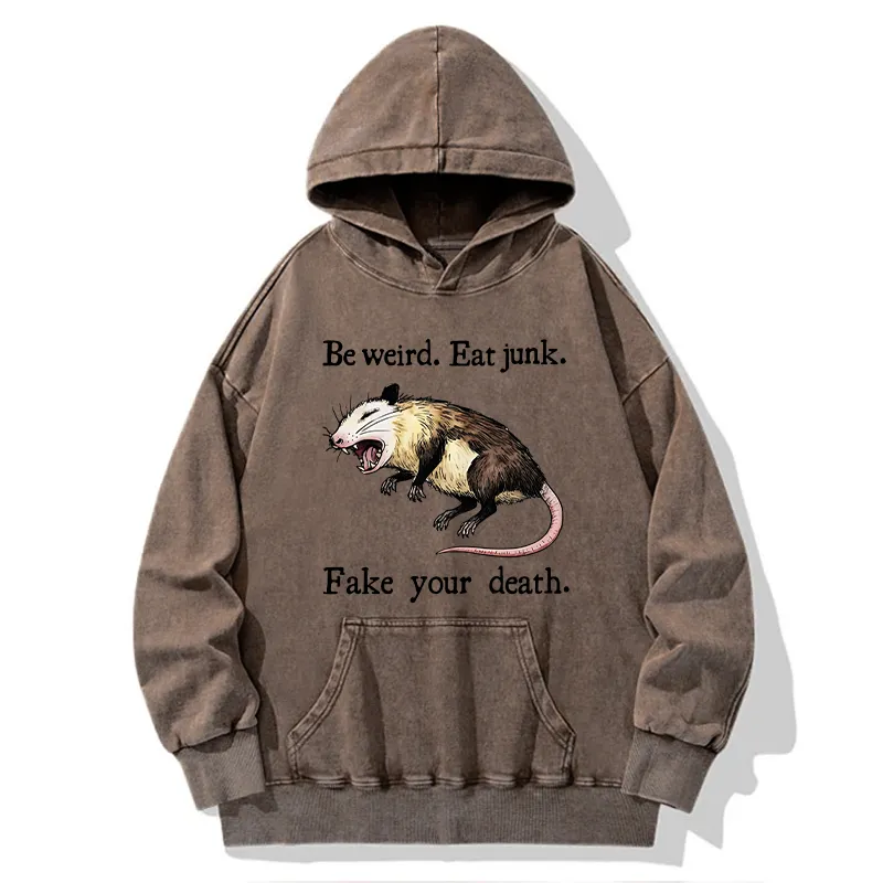 Tokyo-Tiger Focused Samurai Raccoon Washed Hoodie