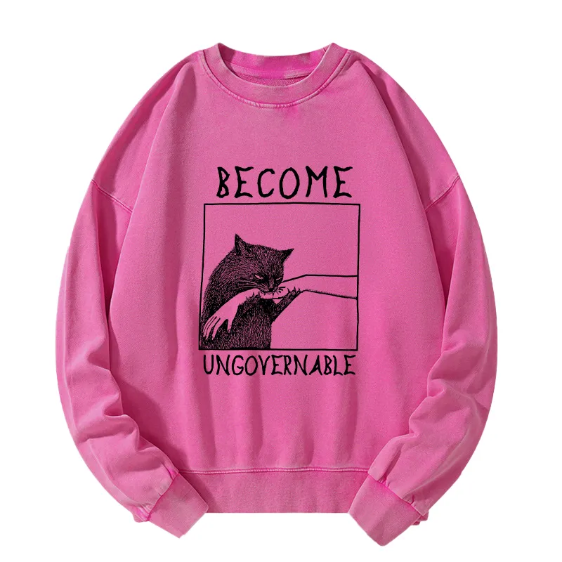 Tokyo-Tiger Cat Biting Arm Washed Sweatshirt