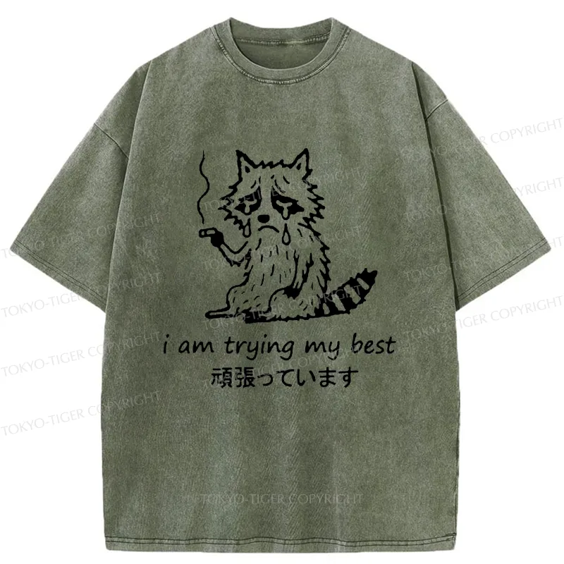 Tokyo-Tiger Raccoon Tried His Best Washed T-Shirt