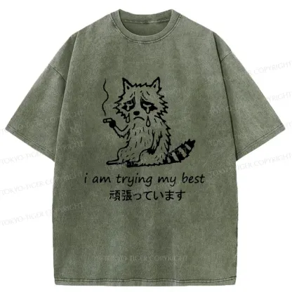 Tokyo-Tiger Raccoon Tried His Best Washed T-Shirt
