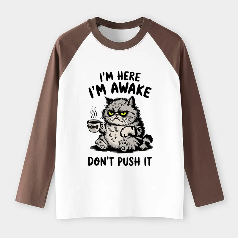 Tokyo-Tiger Tired Cat Raglan Long Sleeve T-shirt