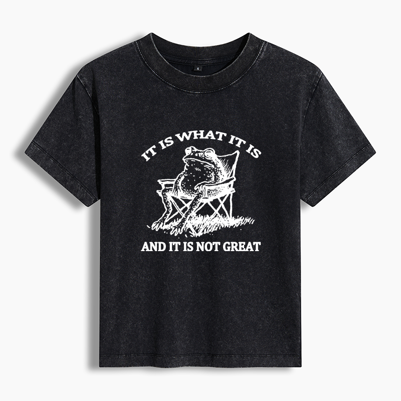 Tokyo-Tiger Resting Frog Funny Washed T-shirt