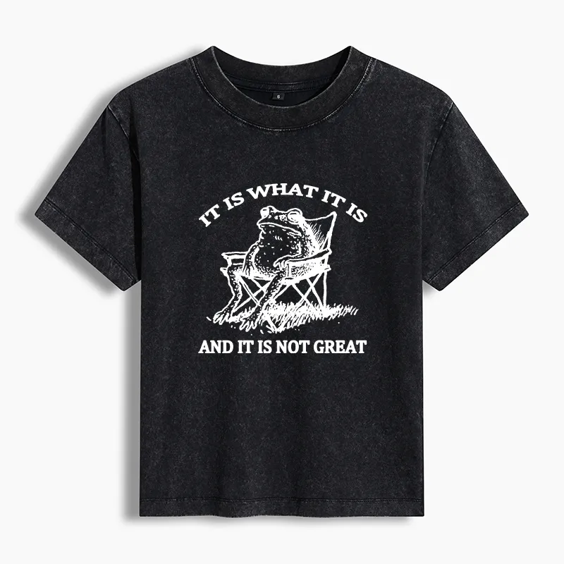 Tokyo-Tiger Resting Frog Funny Washed T-Shirt Sale