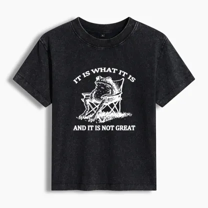 Tokyo-Tiger Resting Frog Funny Washed T-shirt