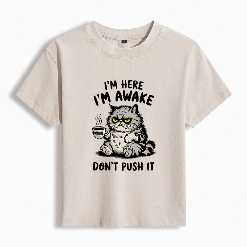 Tokyo-Tiger Tired Cat Washed T-shirt