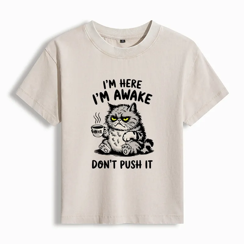 Tokyo-Tiger Tired Cat Washed T-shirt