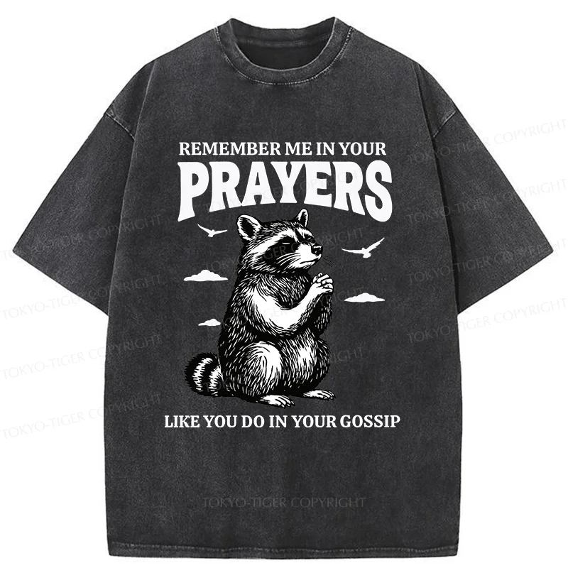 Tokyo-Tiger Raccoon Prayer Washed T-Shirt