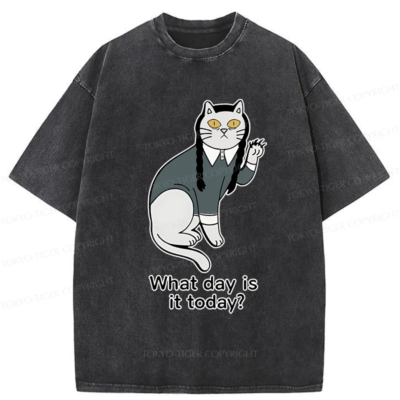 Tokyo-Tiger Cat Girl Funny Washed T-Shirt