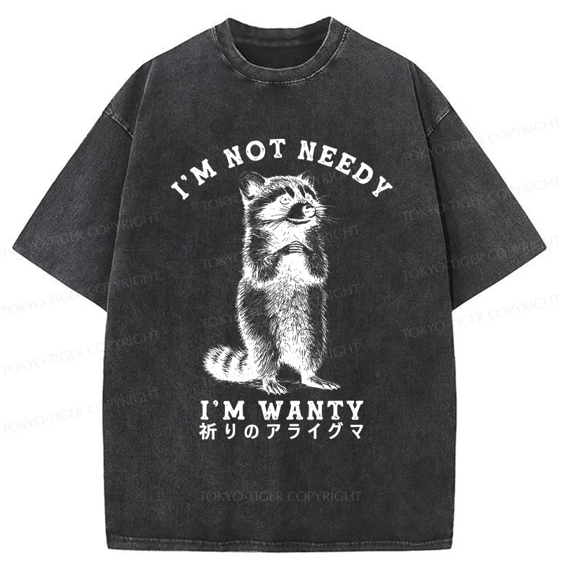 Tokyo-Tiger Praying Raccoon Washed T-Shirt