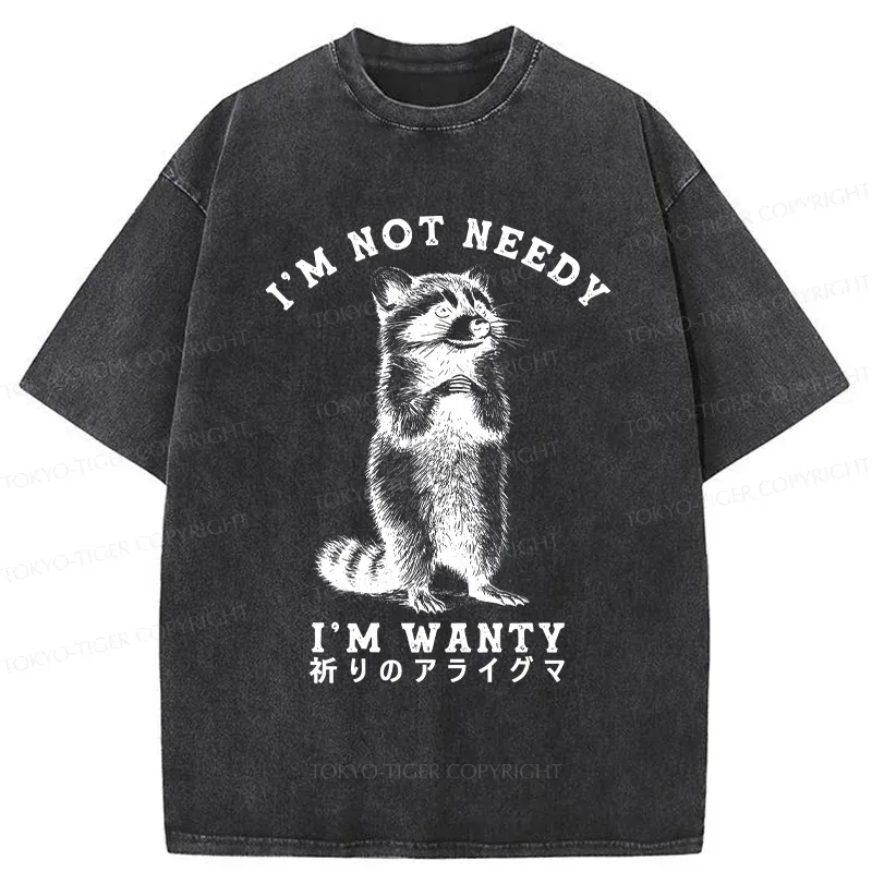Tokyo-Tiger Praying Raccoon Washed T-Shirt