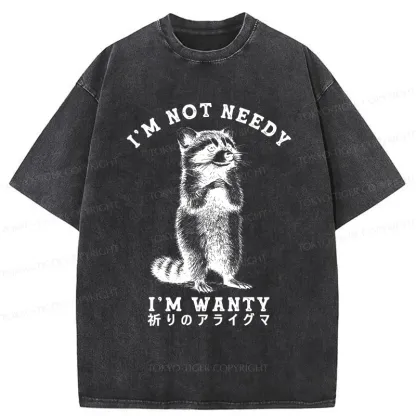 Tokyo-Tiger Praying Raccoon Washed T-Shirt
