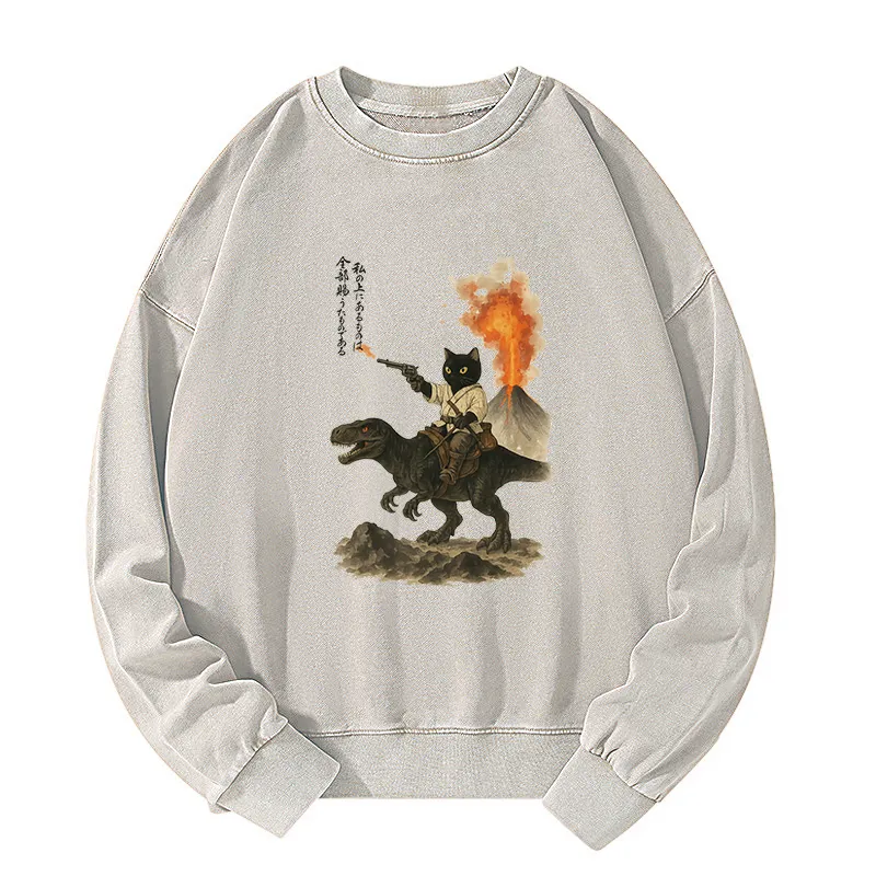 Tokyo-Tiger Cat Riding A Dinosaur Washed Sweatshirt