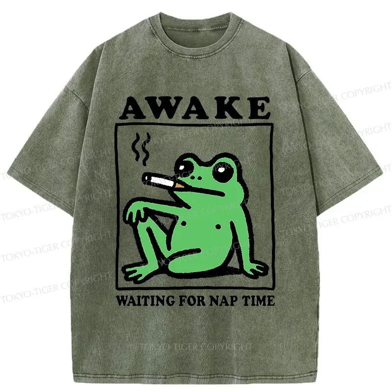 Tokyo-Tiger Frog Waiting For A Nap Washed T-Shirt