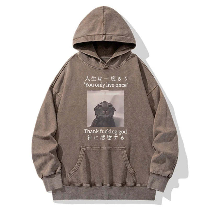 Tokyo-Tiger Funny Melancholy Cat Washed Hoodie