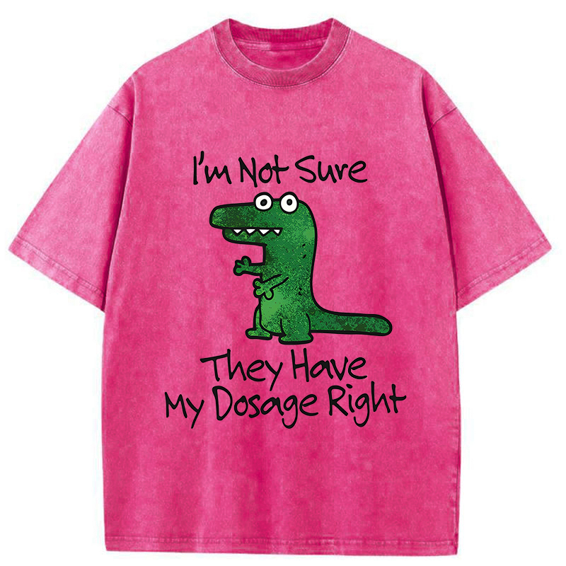 Tokyo-Tiger Dinosaur Meme Sarcastic Ironic Washed T-Shirt