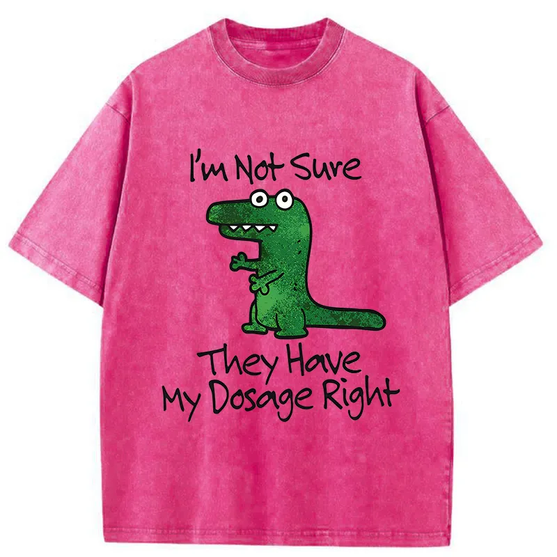 Tokyo-Tiger Dinosaur Meme Sarcastic Ironic Washed T-Shirt