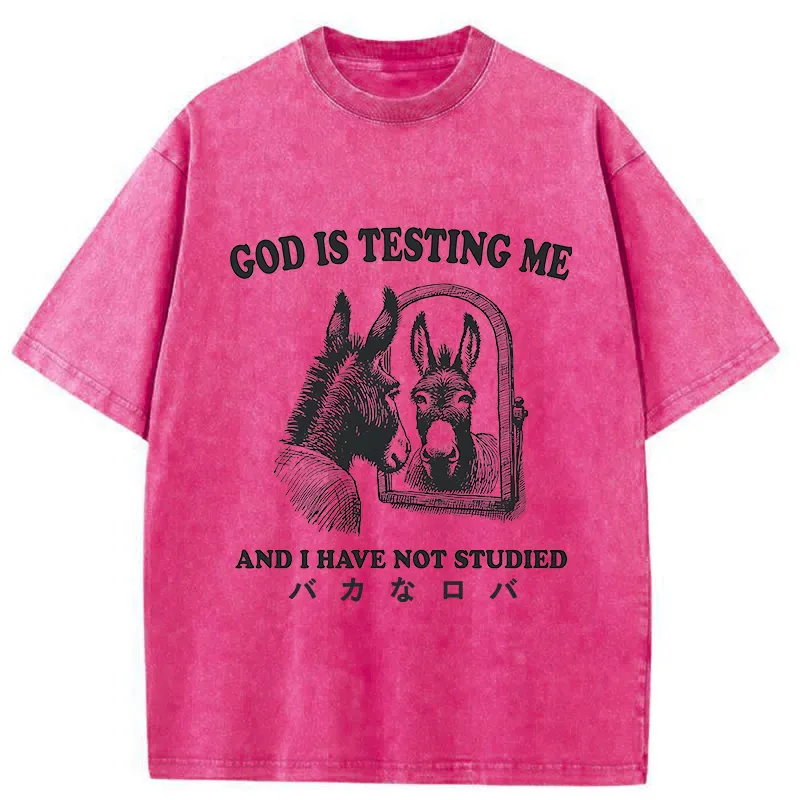 Tokyo-Tiger Studied Donkey Meme Washed T-Shirt