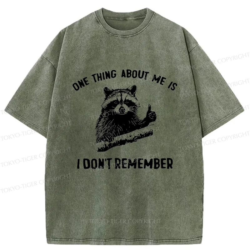 Tokyo-Tiger Amnesiac Raccoon Washed T-Shirt