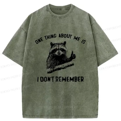 Tokyo-Tiger Amnesiac Raccoon Washed T-Shirt