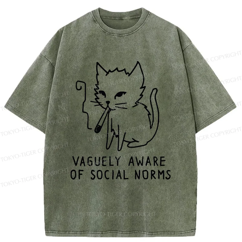 Tokyo-Tiger Uncontrolled Cat Washed T-Shirt