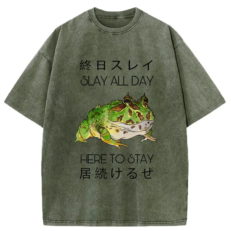 Tokyo-Tiger Slay All Day Washed T-Shirt