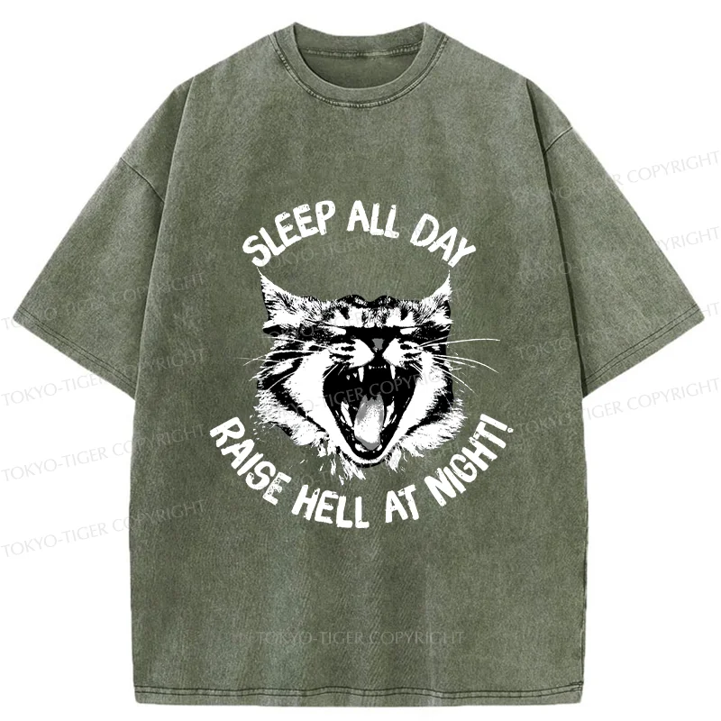 Tokyo-Tiger Cat Wreaking Havoc At Night Washed T-Shirt