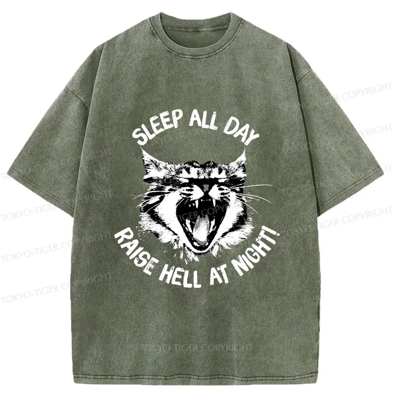 Tokyo-Tiger Cat Wreaking Havoc At Night Washed T-Shirt