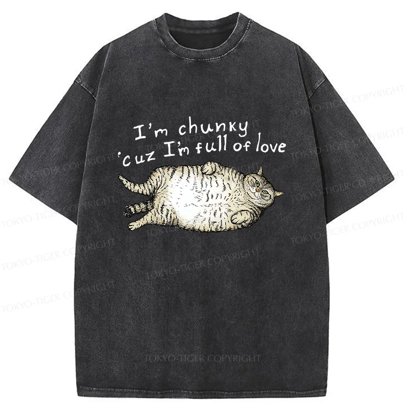 Tokyo-Tiger Fat Cat Funny Washed T-Shirt