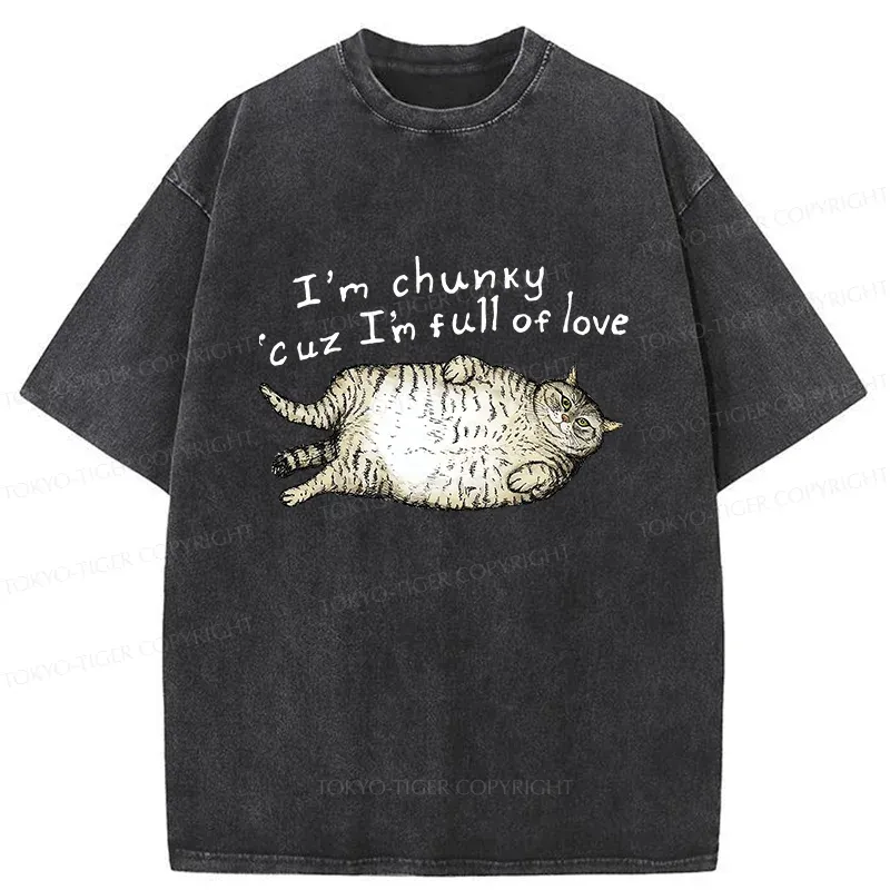 Tokyo-Tiger Fat Cat Funny Washed T-Shirt