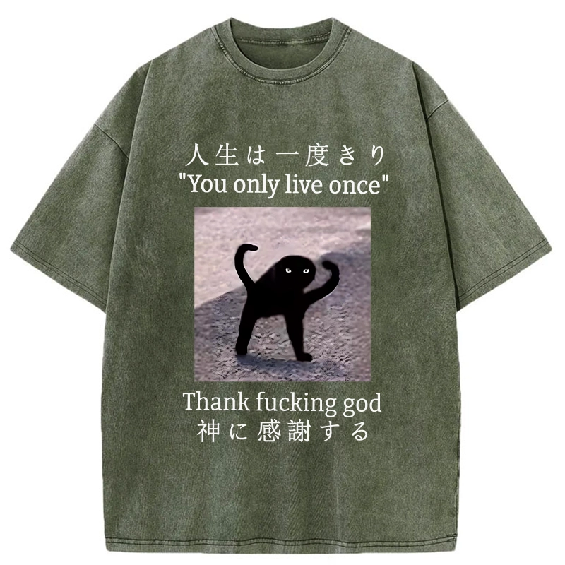 Tokyo-Tiger Funny Mysterious Cat Washed T-Shirt