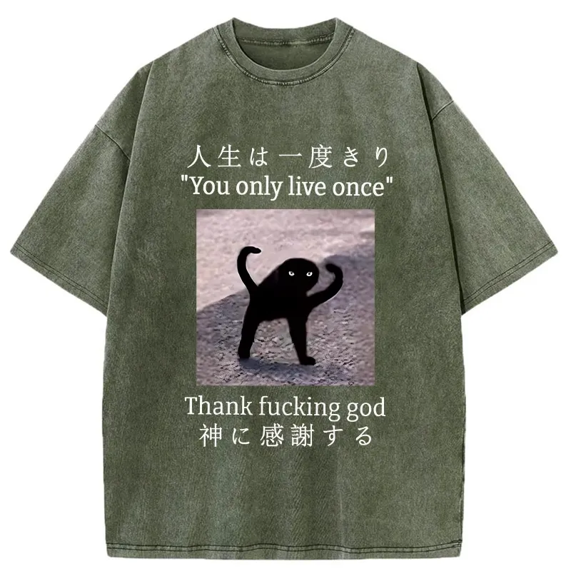 Tokyo-Tiger Funny Mysterious Cat Washed T-Shirt