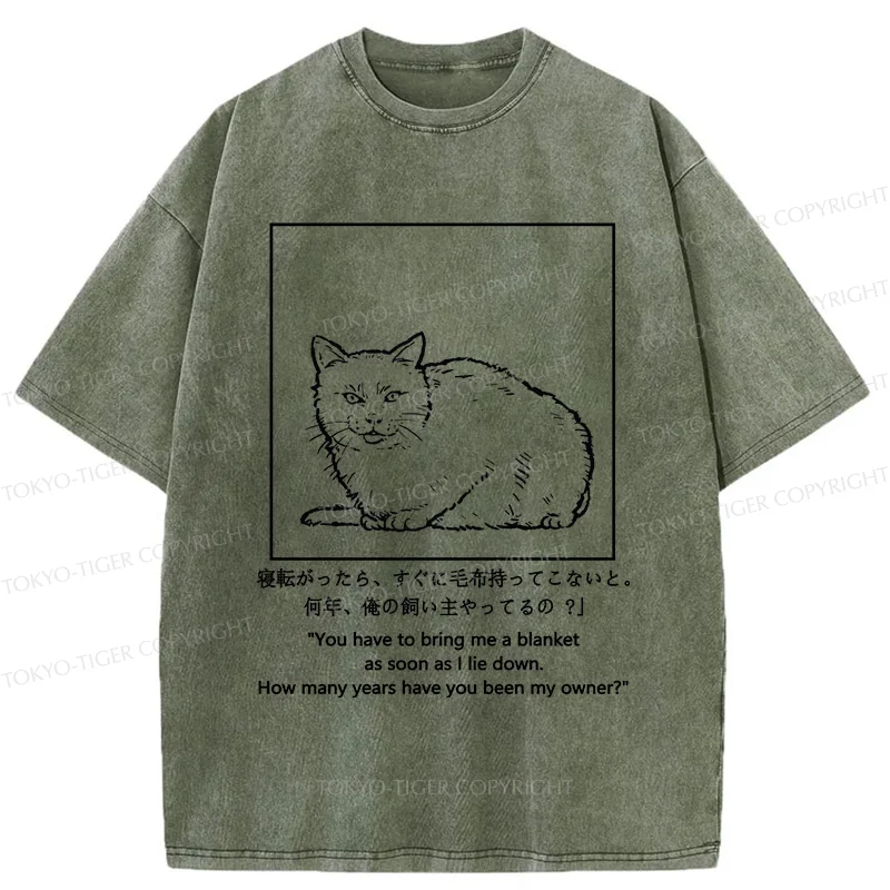 Tokyo-Tiger Cat Instructs Owner Washed T-Shirt