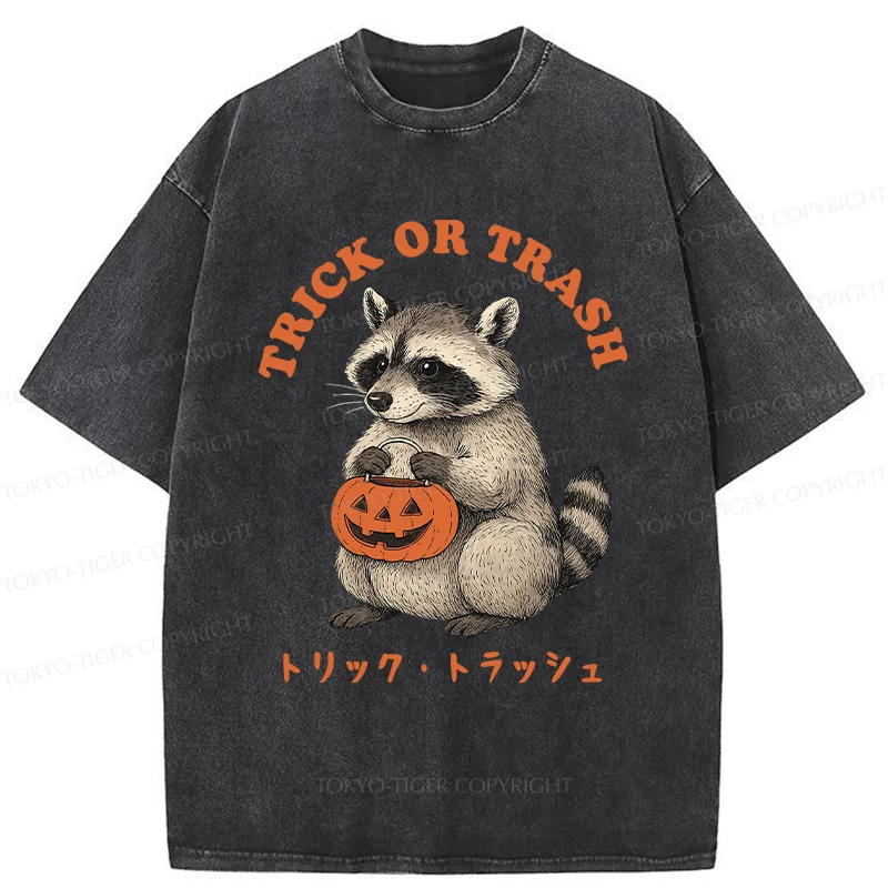Tokyo-Tiger Halloween Raccoon Washed T-Shirt