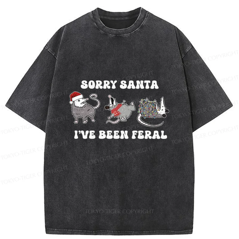 Tokyo-Tiger Halloween Opossum Washed T-Shirt