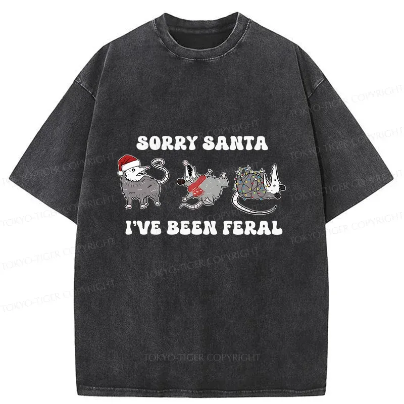 Tokyo-Tiger Halloween Opossum Washed T-Shirt