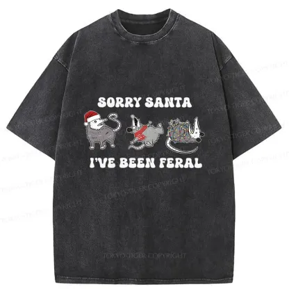 Tokyo-Tiger Halloween Opossum Washed T-Shirt