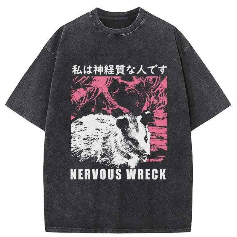 Tokyo-Tiger Nervous Wreck Washed T-Shirt Sale